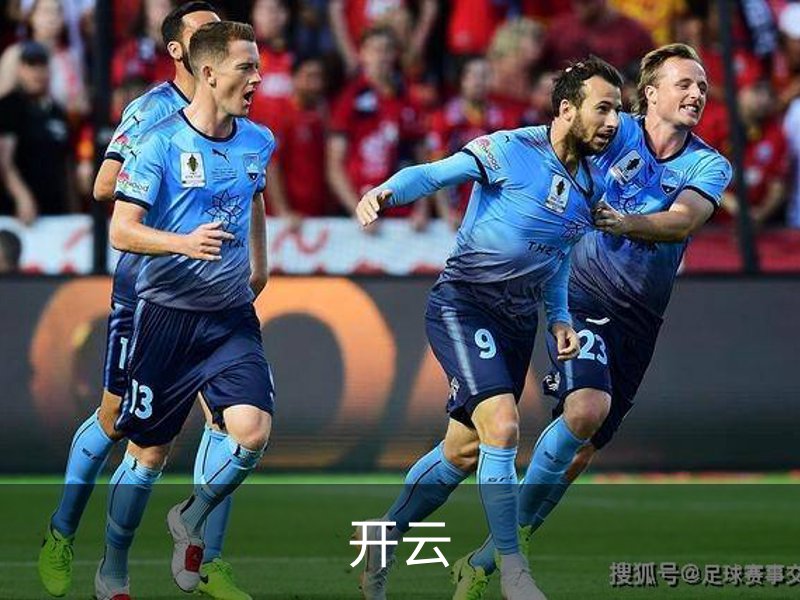 开云概况